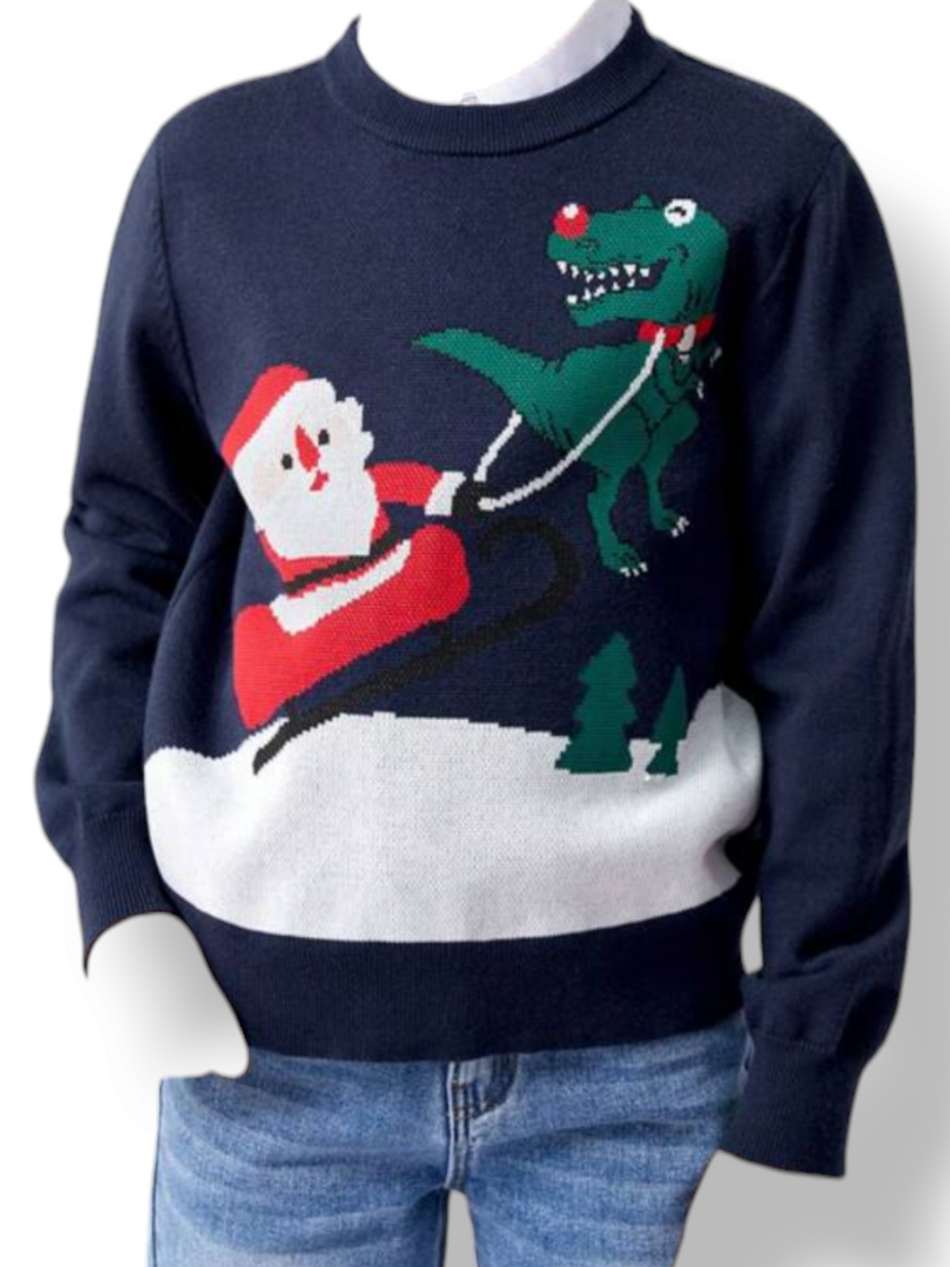 Boy Christmas sweater