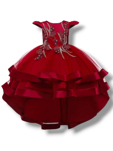 Ballroom Burgundy girl dress