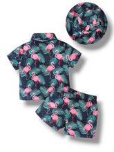 3 pc flamingo boy baby set