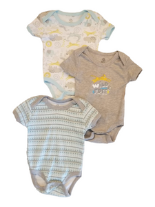 Wild & free baby onsies set