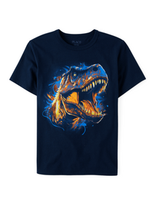 Boys dino shirt