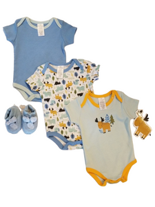 Boy baby onsies set